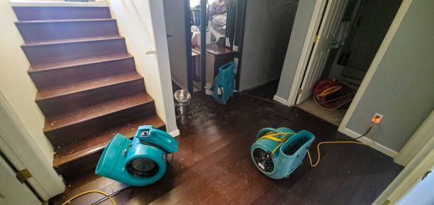 Best Professional water damage repair  in Brooktrails, CA