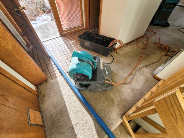 Best Professional water damage repair  in Brooktrails, CA