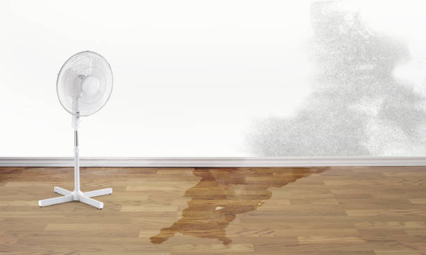 Best Fire Damage Restoration  in Brooktrails, CA