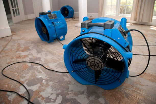 Best Water damage cleanup near me  in Brooktrails, CA
