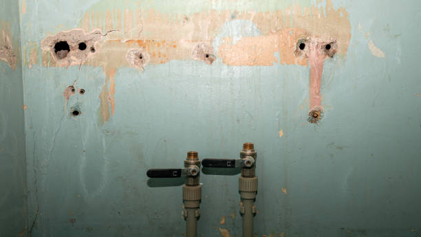 Best Water damage contractors near me  in Brooktrails, CA