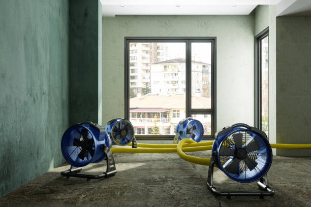 Best Emergency water damage restoration  in Brooktrails, CA