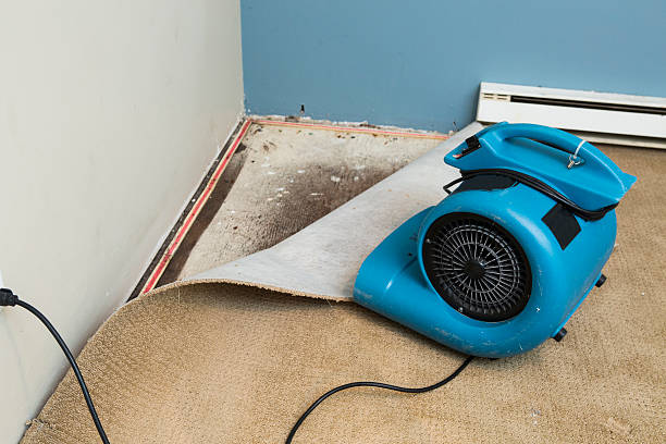 Professional Water damage restoration in Brooktrails, CA